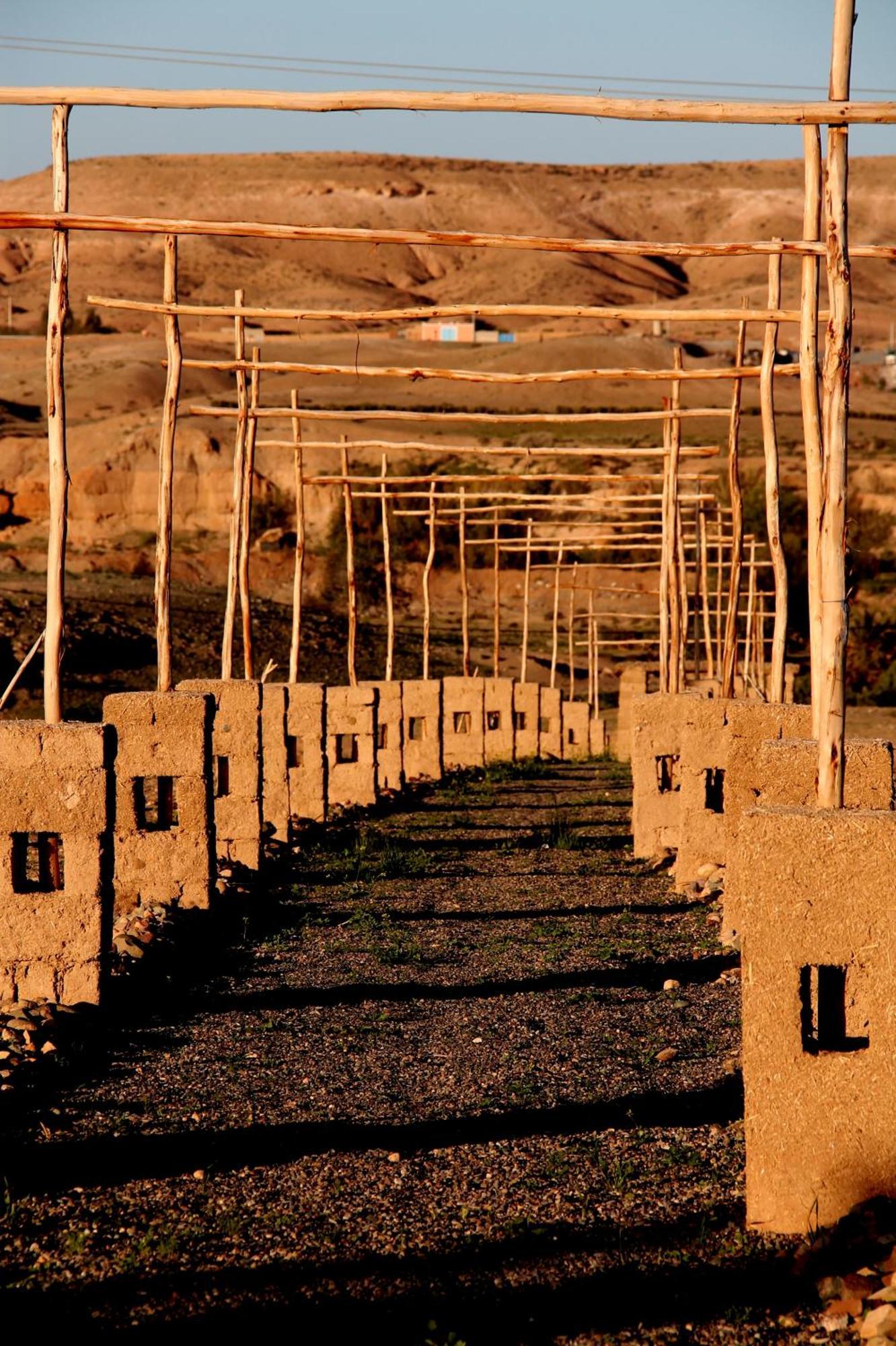 ホテル Ngayan Camp Taïzelt エクステリア 写真